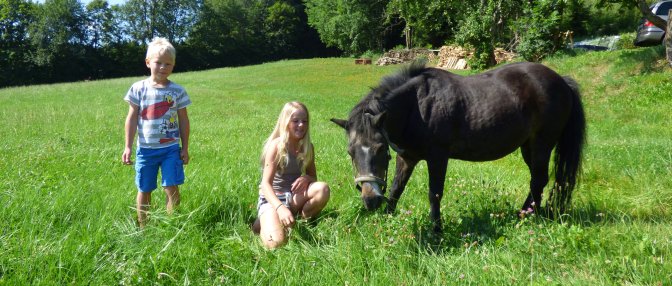 Bauernhofurlaub Bayerischer Wald Kinder und Ponyreiten
